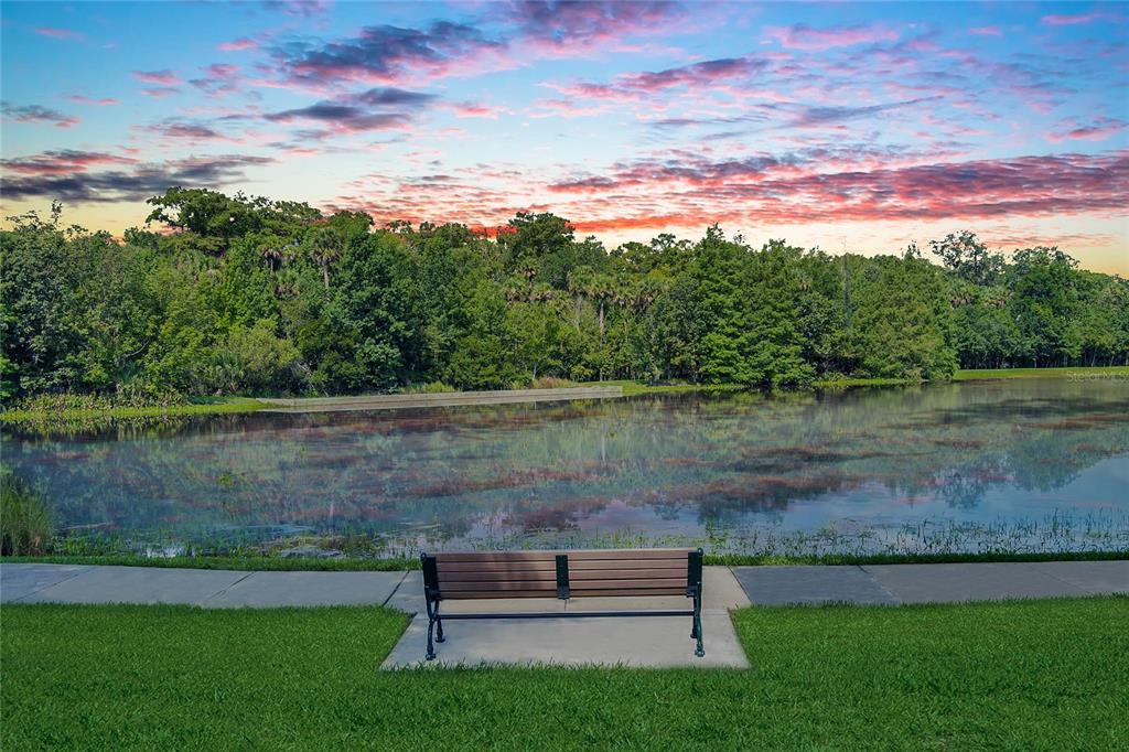 1400 Celebration Avenue, Unit 401 Celebration, FL 34747 - Photo 64 of 68 a view of a lake from a yard