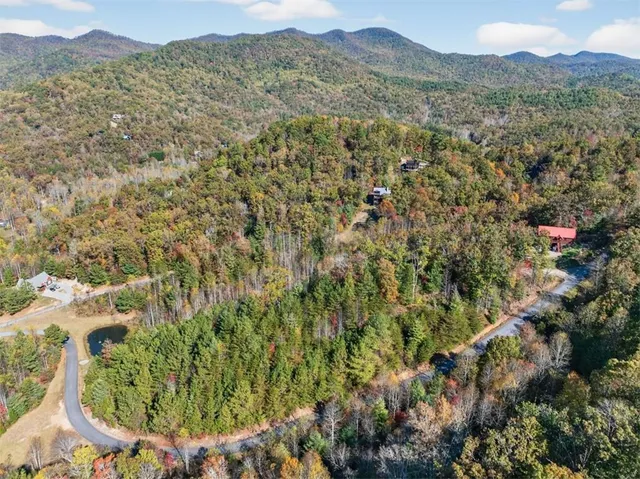 a view of a mountain in the distance in a field