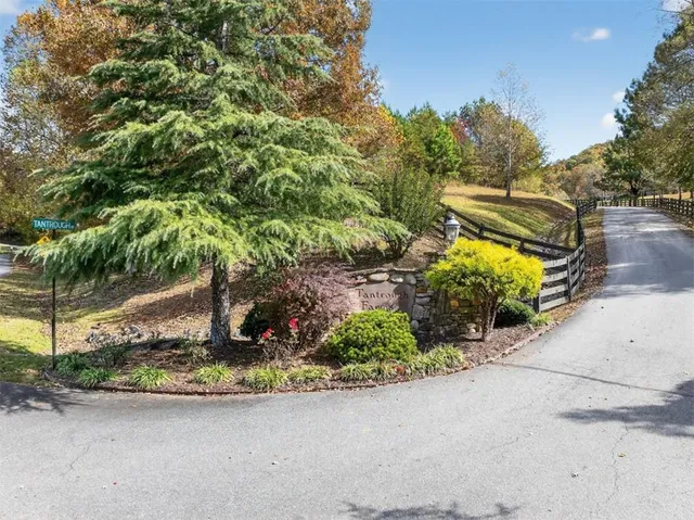 a view of a garden with potted plants
