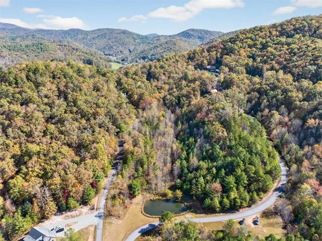 an aerial view of residential house and green space