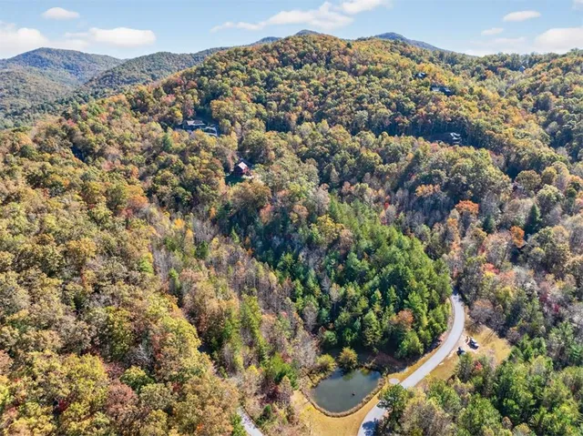 a view of a field with a mountain