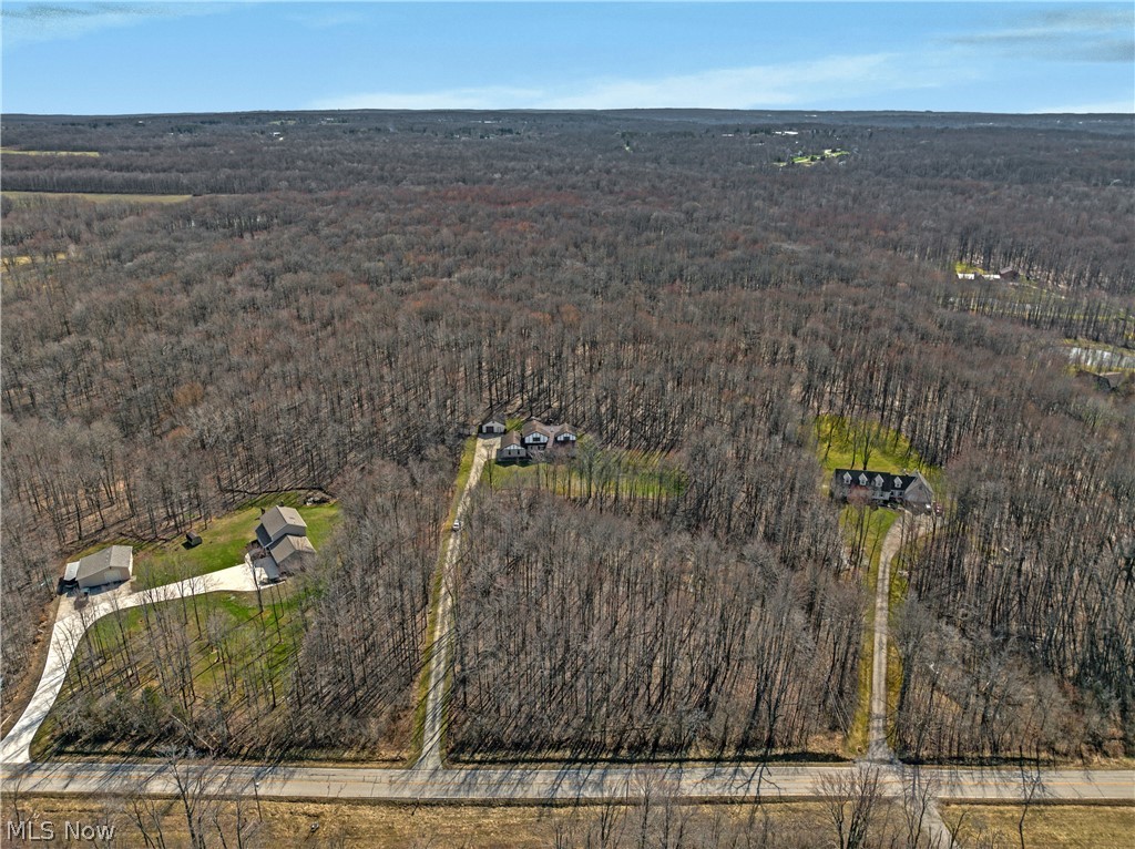 13015 Pearl Road Chardon, OH 44024 - Photo 48 of 50