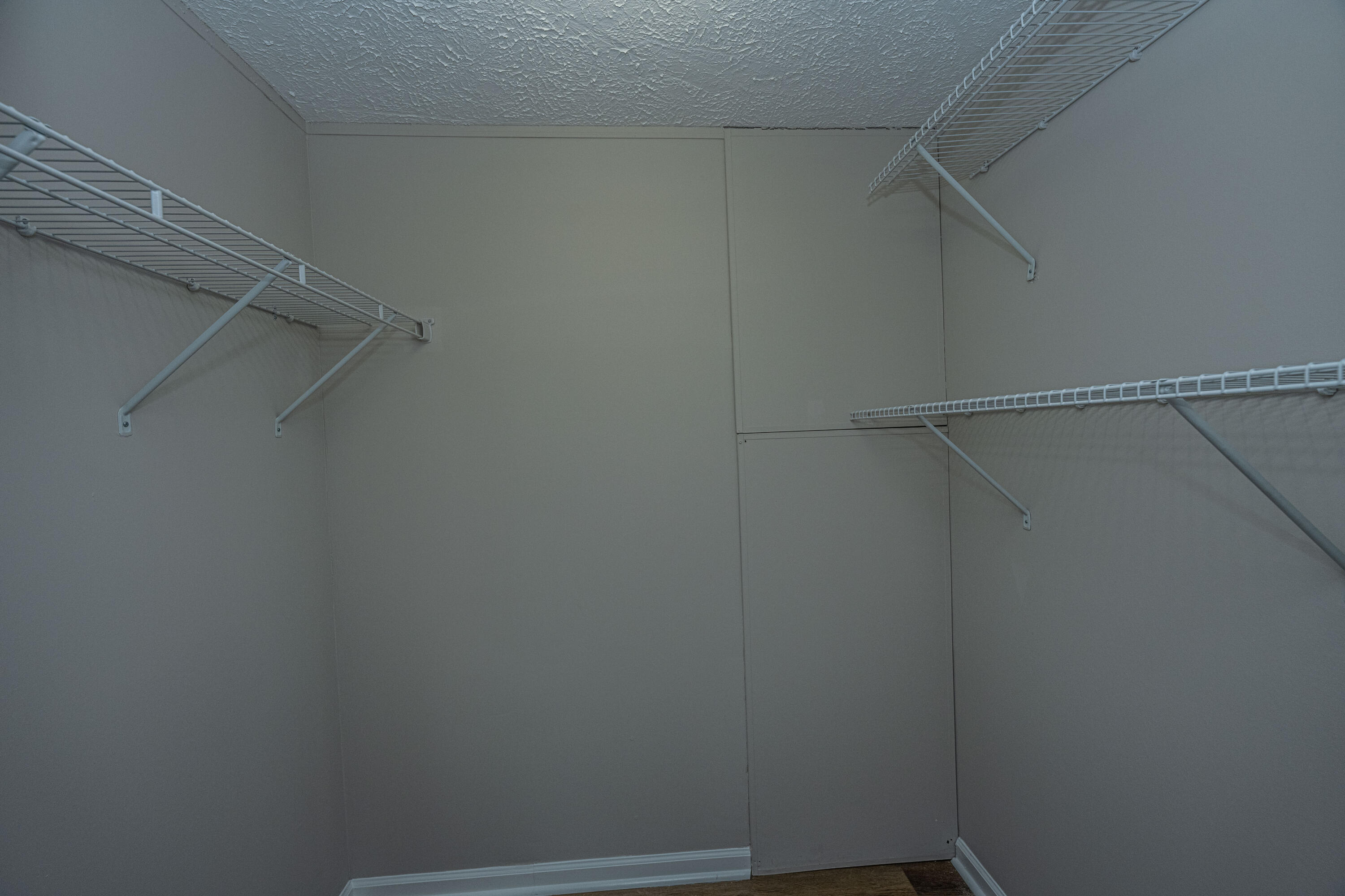121 Boyd Street Moncks Corner, SC 29461 - Photo 23 of 41 Primary Closet
