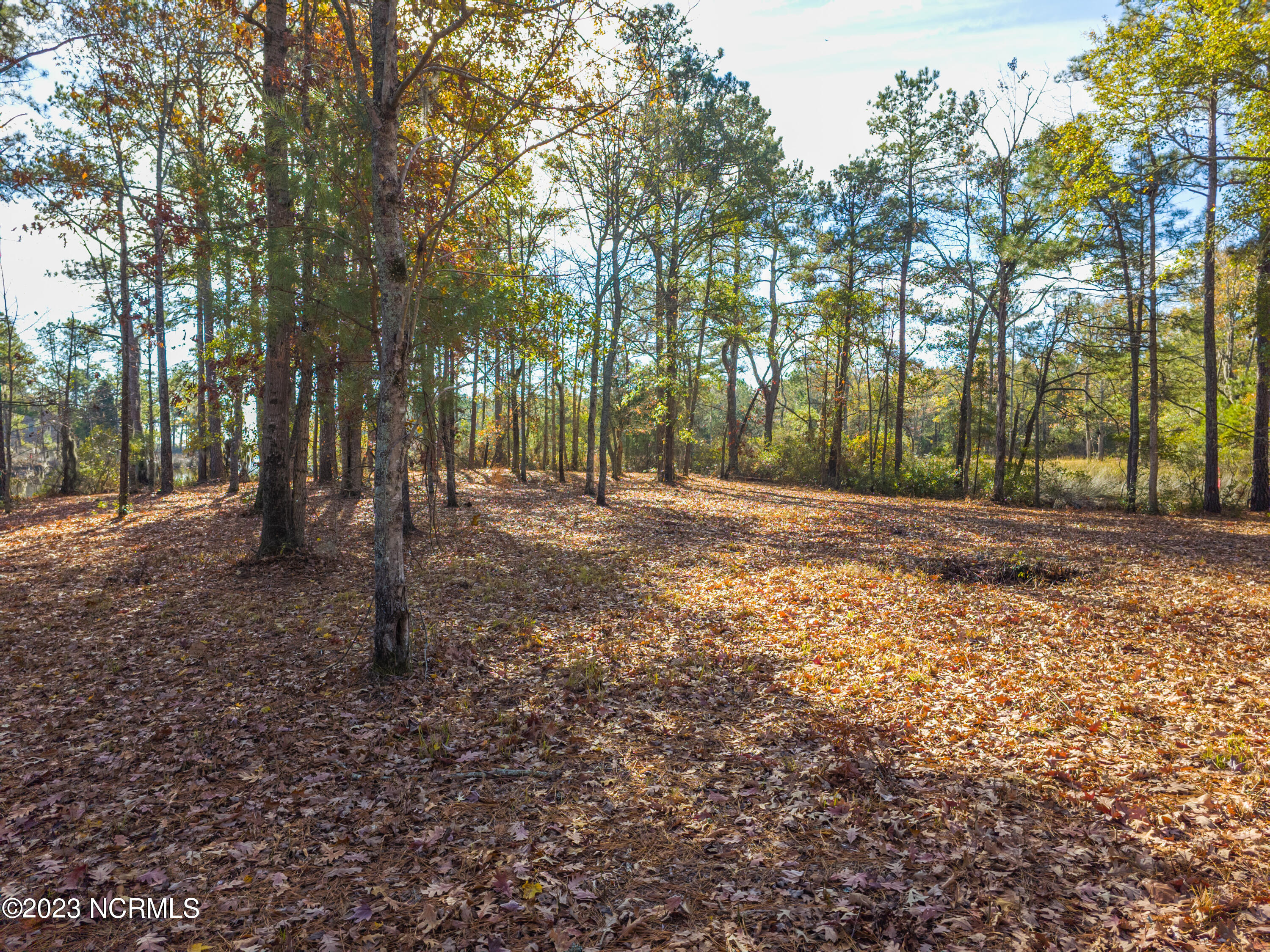 65 Tarpon Pointe Road Bath, NC 27808 - Photo 9 of 20 20231130_103217a