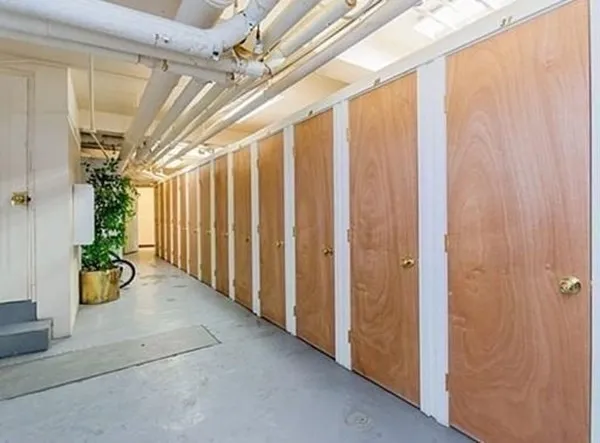 a view of an entryway with flower plants