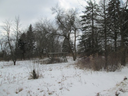 111 Florence Road Inverness, IL 60010 - Photo 6 of 10