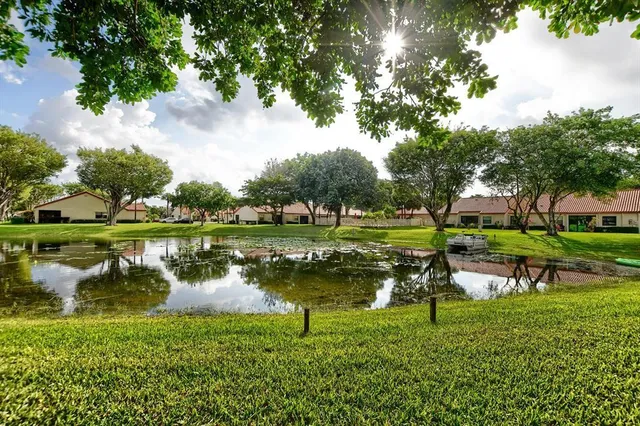 a view of a lake with a yard and potted plants