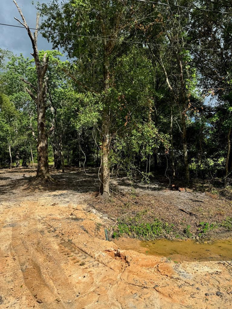 Lot 2 Causey Road Wewahitchka, FL 32465 - Photo 2 of 13