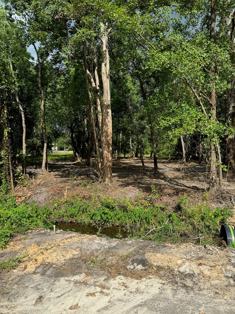 Lot 2 Causey Road Wewahitchka, FL 32465 - Photo 3 of 13