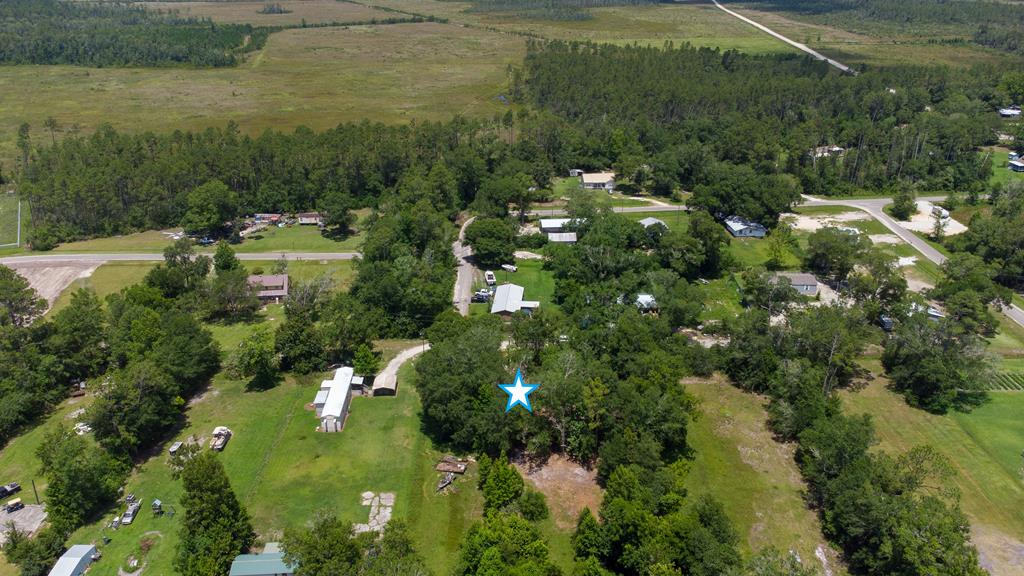 Lot 2 Causey Road Wewahitchka, FL 32465 - Photo 7 of 13