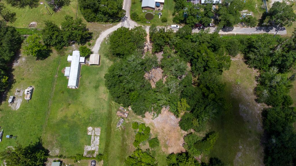 Lot 2 Causey Road Wewahitchka, FL 32465 - Photo 9 of 13