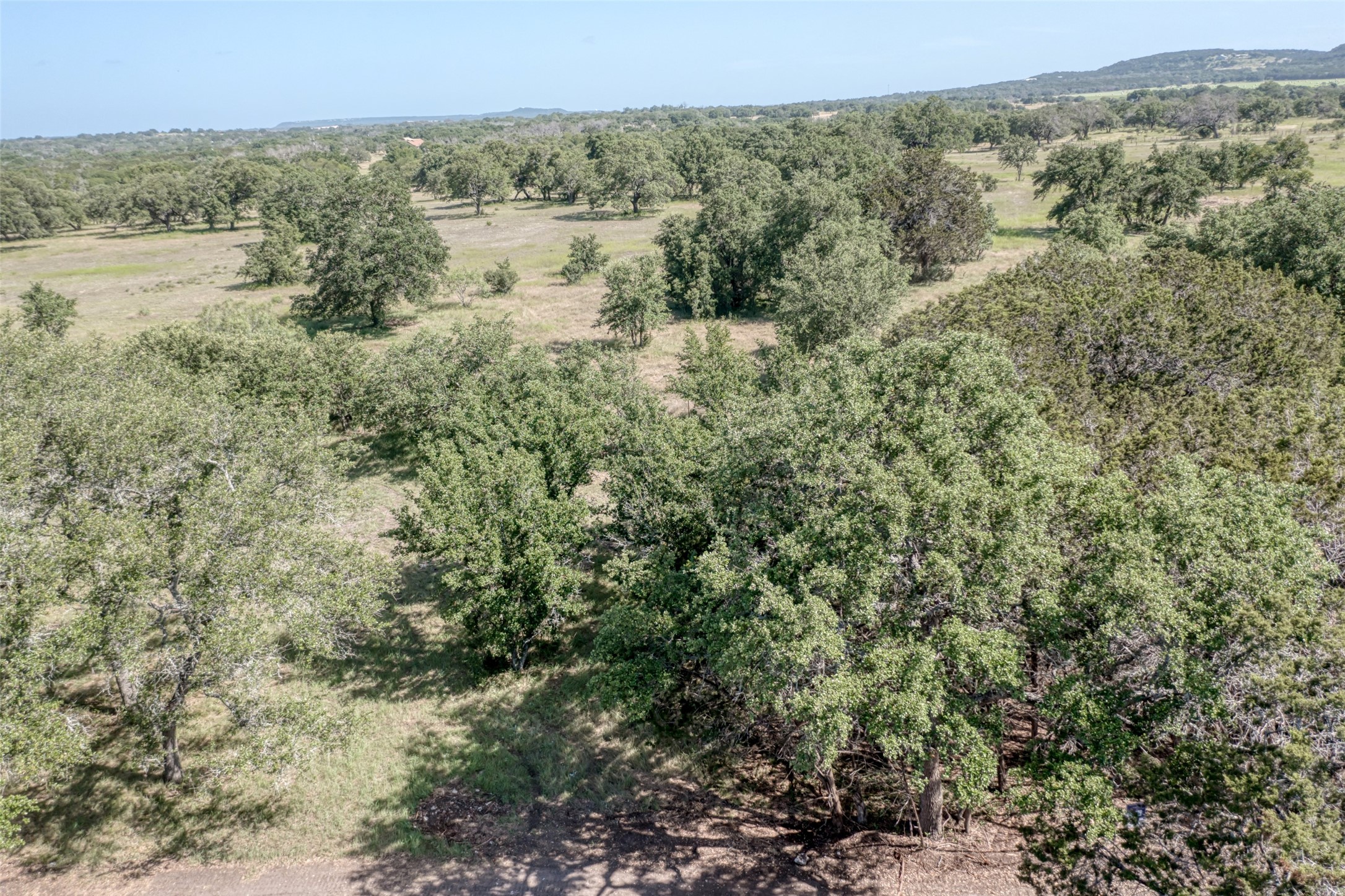 Lot 3 County 340 Road Burnet, TX 78611 - Photo 8 of 12 a view of a forest with a street