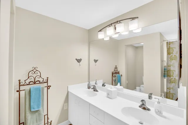 a view of a park with large trees