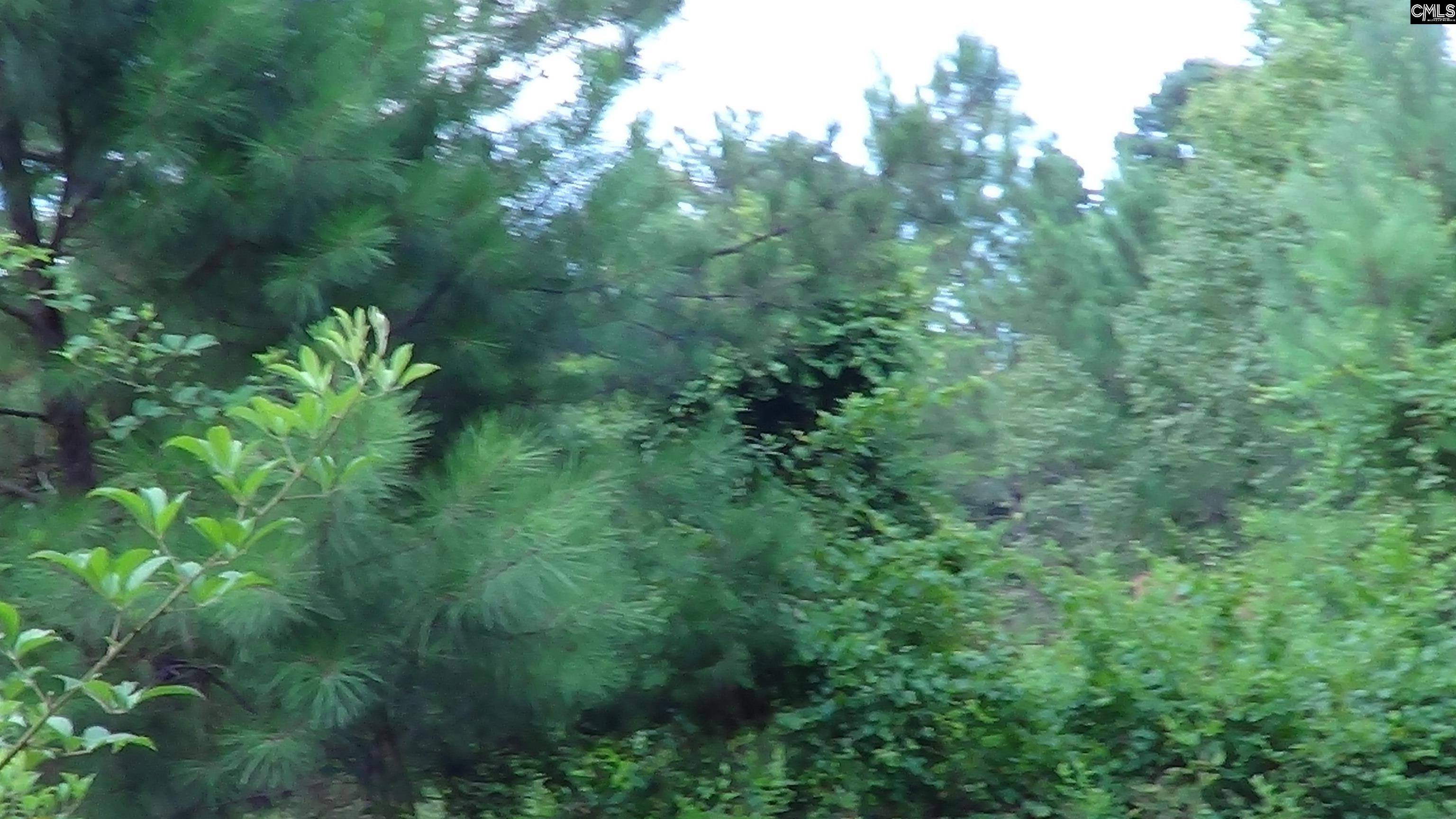 2815 Highway 1 Elgin, SC 29045 - Photo 10 of 17