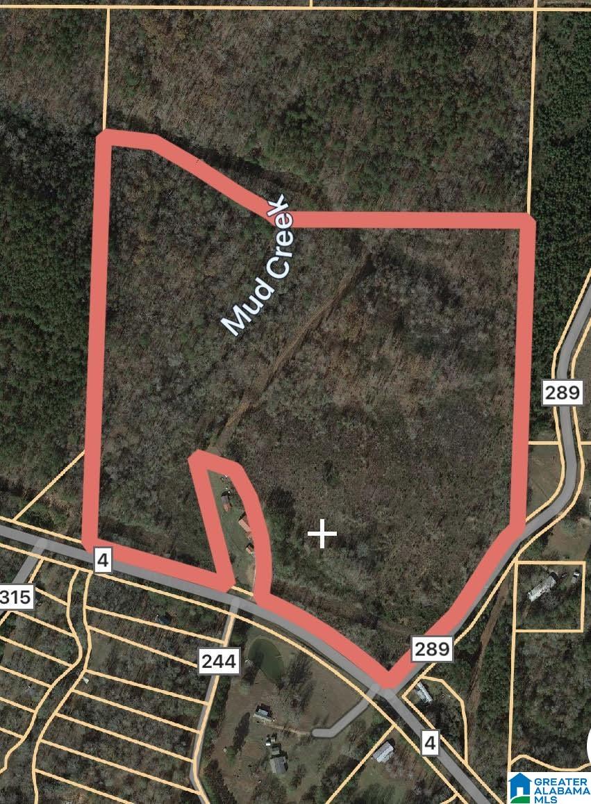 0 County Road 4 Wedowee, AL 36278 - Photo 24 of 24