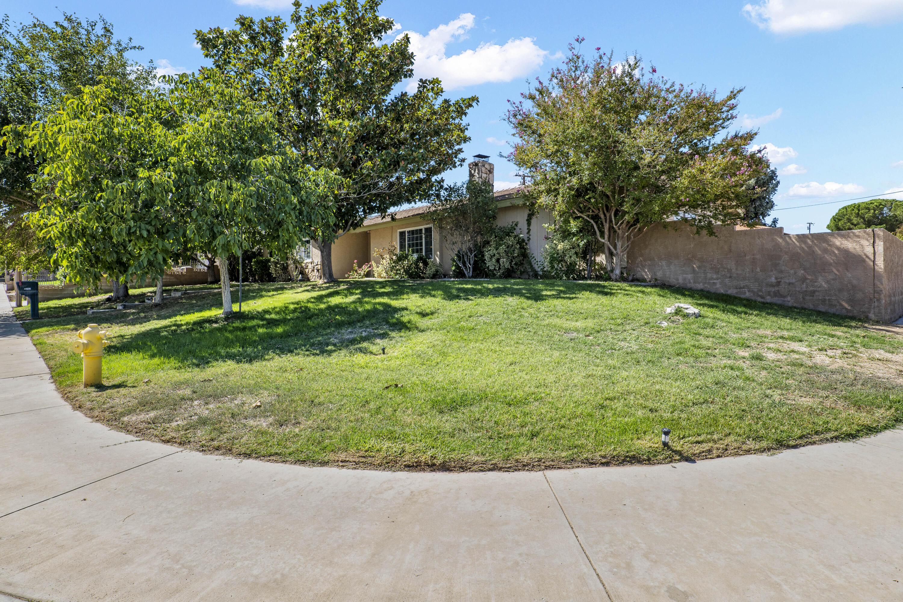 41235 47th Street West Lancaster, CA 93536 - Photo 2 of 43 a view of a backyard with potted plants and large trees