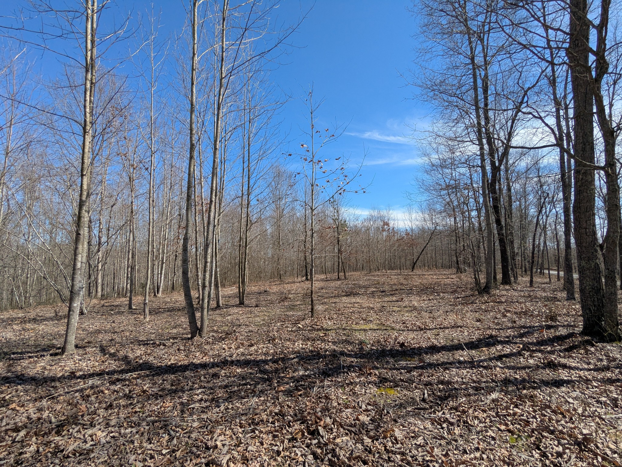 264 Baptist Branch Road Mount Pleasant, TN 38474 - Photo 11 of 44 Gallery Image 11