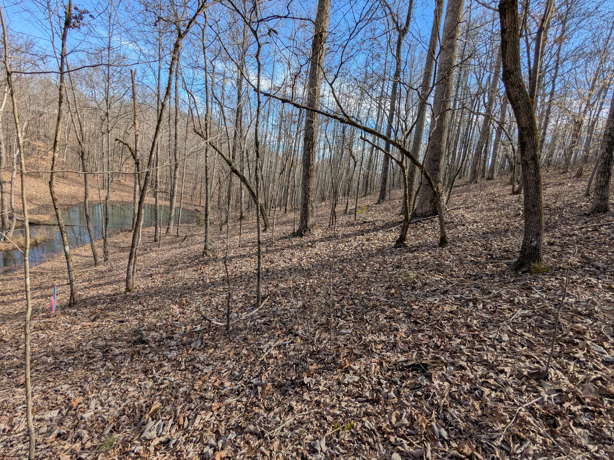 264 Baptist Branch Road Mount Pleasant, TN 38474 - Photo 23 of 44 Gallery Image 23
