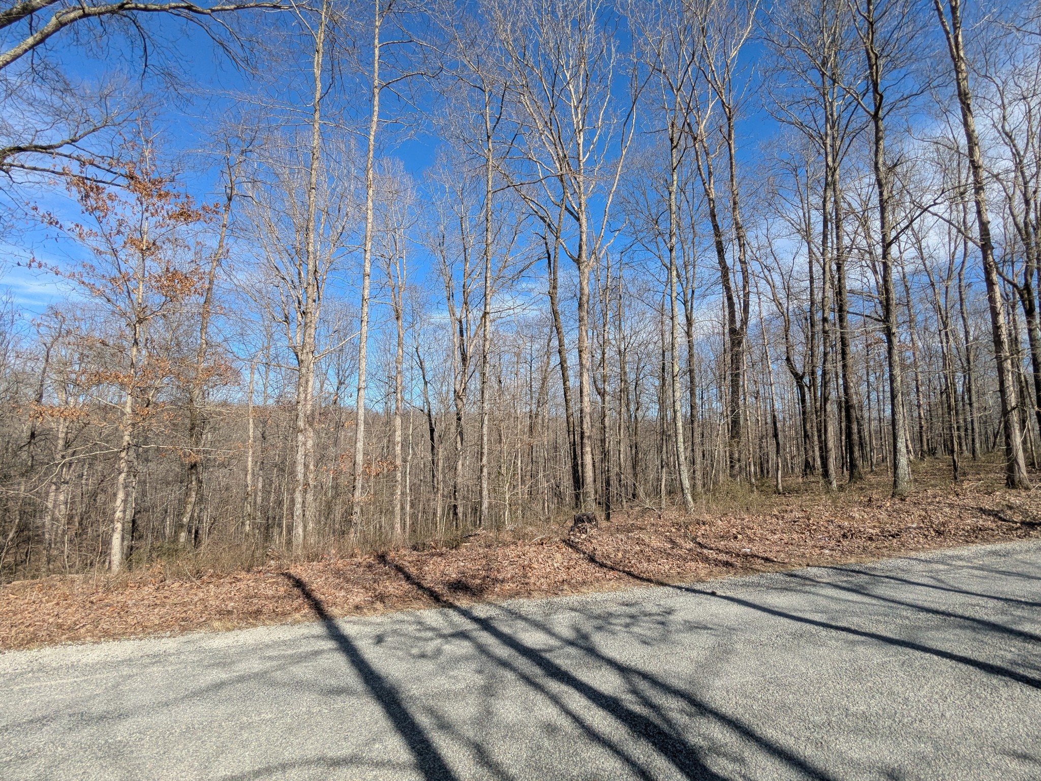 264 Baptist Branch Road Mount Pleasant, TN 38474 - Photo 35 of 44 Gallery Image 35