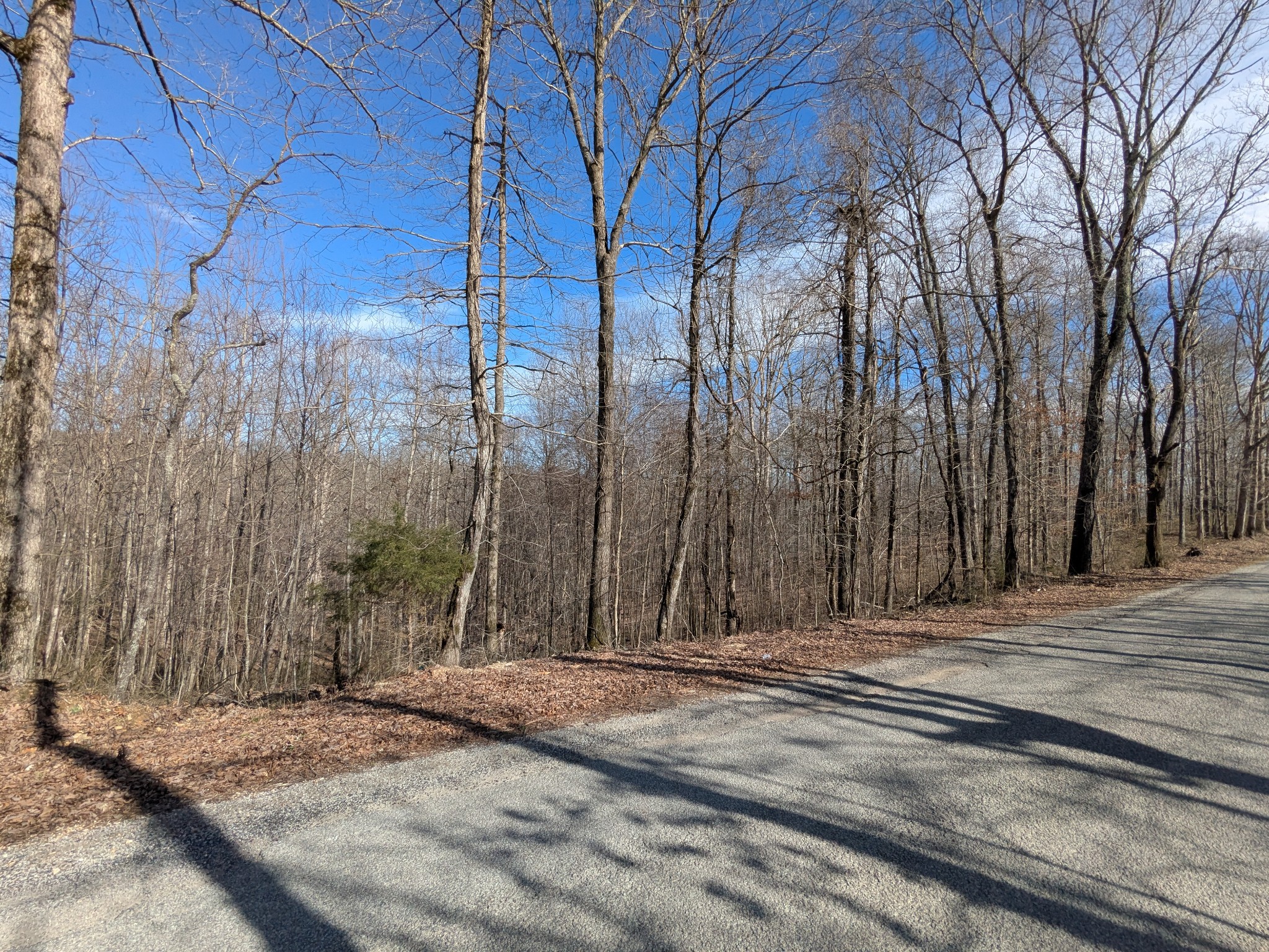 264 Baptist Branch Road Mount Pleasant, TN 38474 - Photo 38 of 44 Gallery Image 38