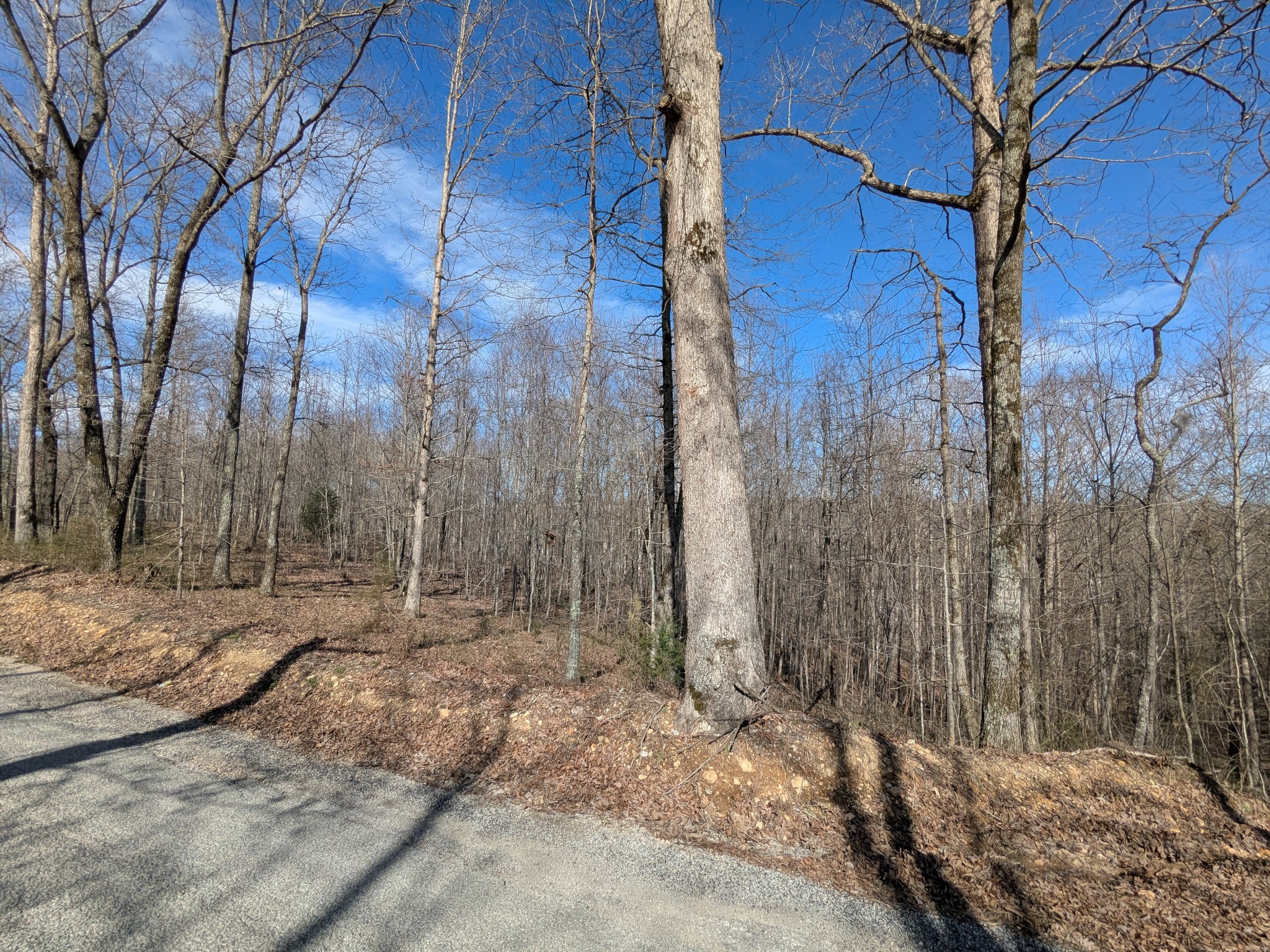 264 Baptist Branch Road Mount Pleasant, TN 38474 - Photo 41 of 44 Gallery Image 41
