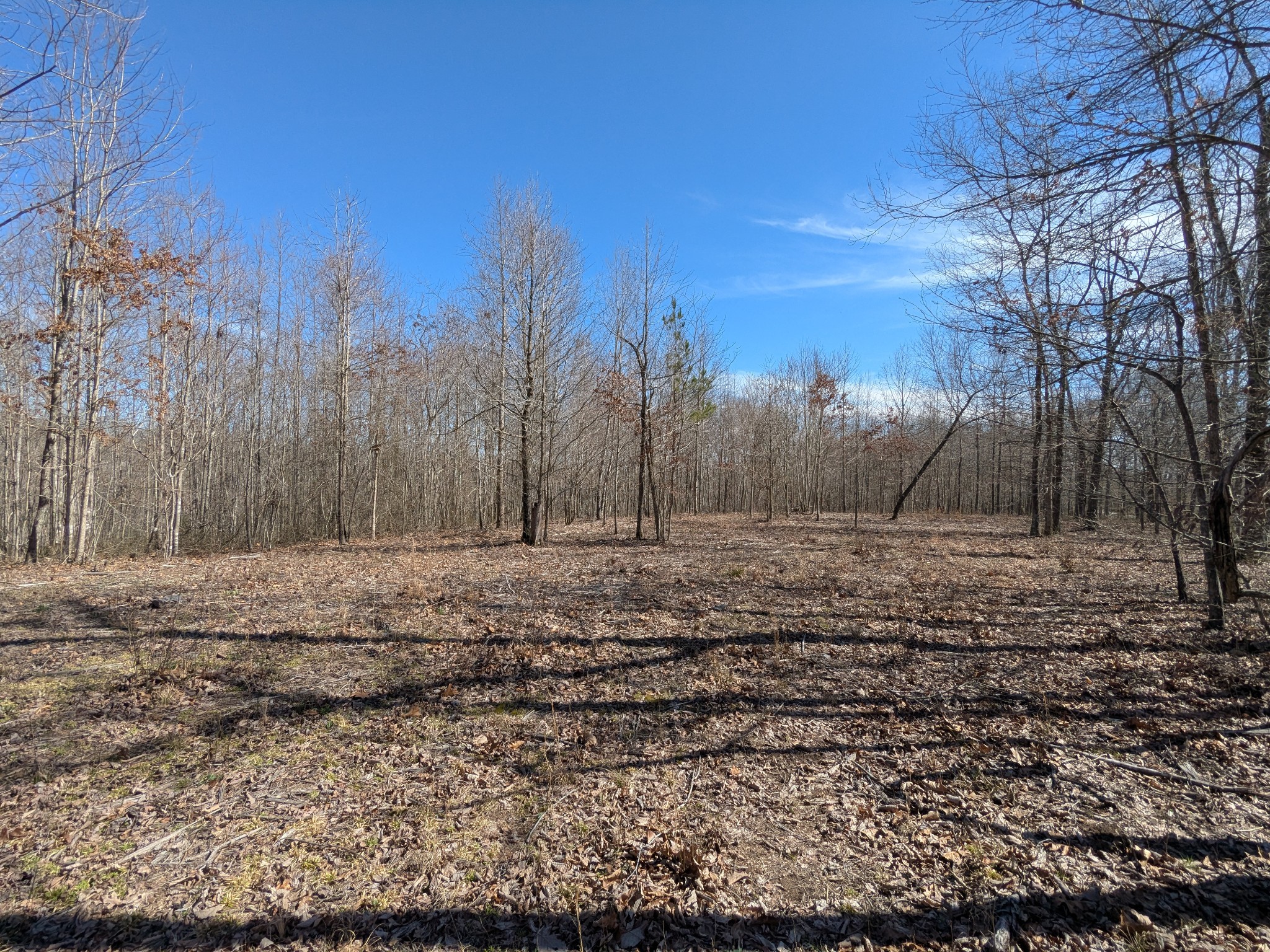 264 Baptist Branch Road Mount Pleasant, TN 38474 - Photo 5 of 44 Gallery Image 5