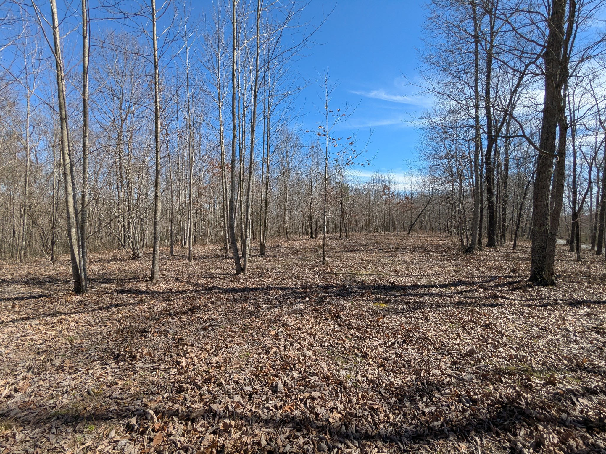 264 Baptist Branch Road Mount Pleasant, TN 38474 - Photo 9 of 44 Gallery Image 9