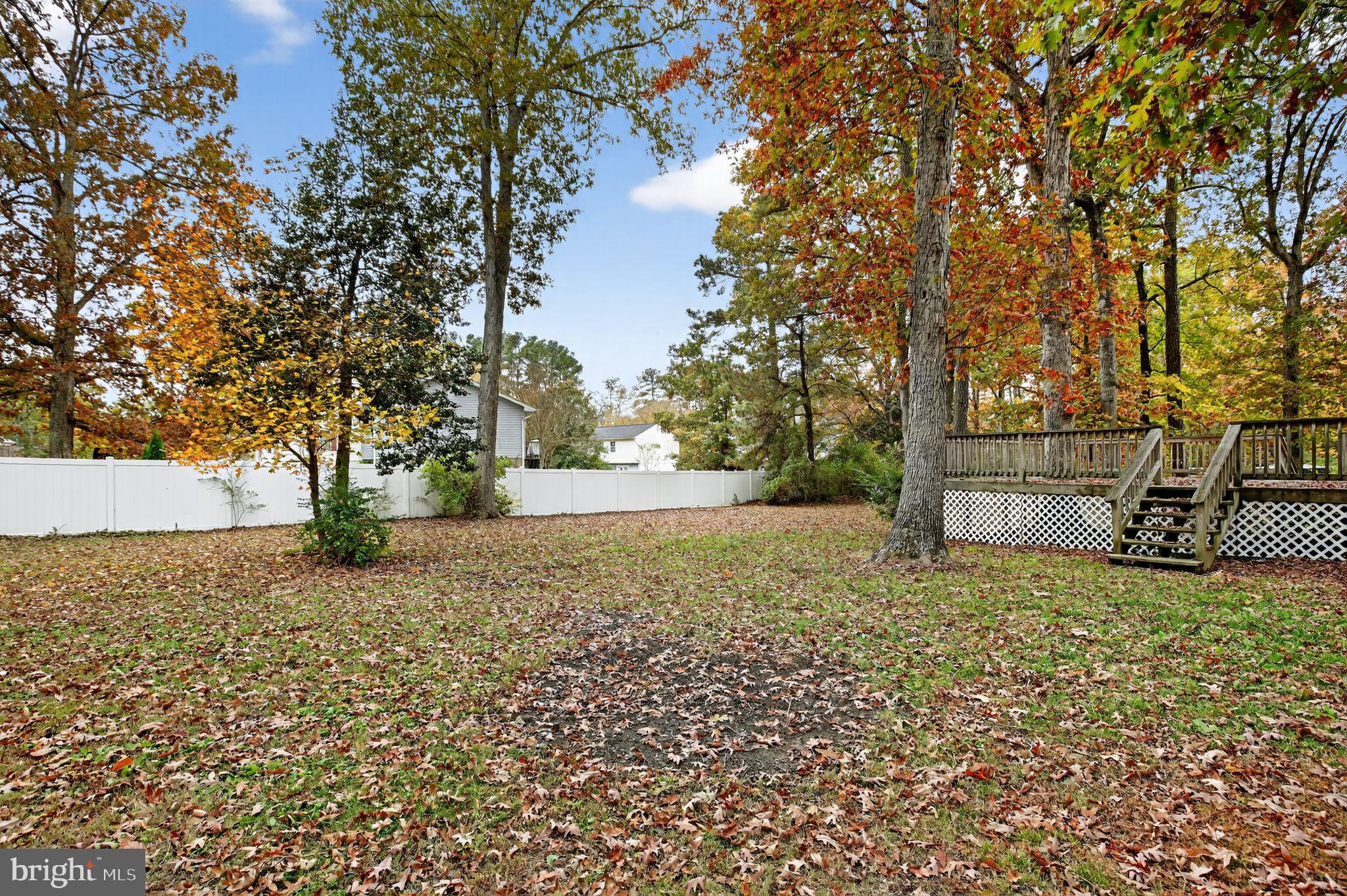 45869 Belvoir Road Great Mills, MD 20634 - Photo 29 of 30 a view of backyard with tree