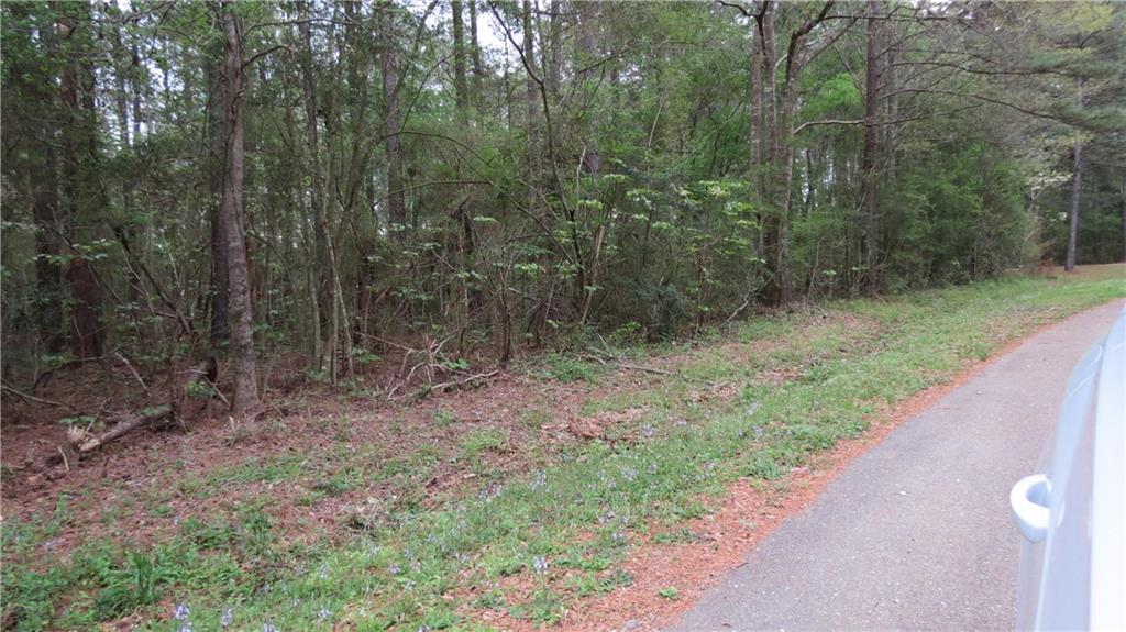 0 Camus Lane Covington, LA 70435 - Photo 3 of 7