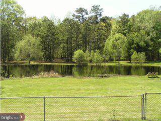 260 Stockton Bridge Road Pemberton, NJ 08068 - Photo 4 of 4
