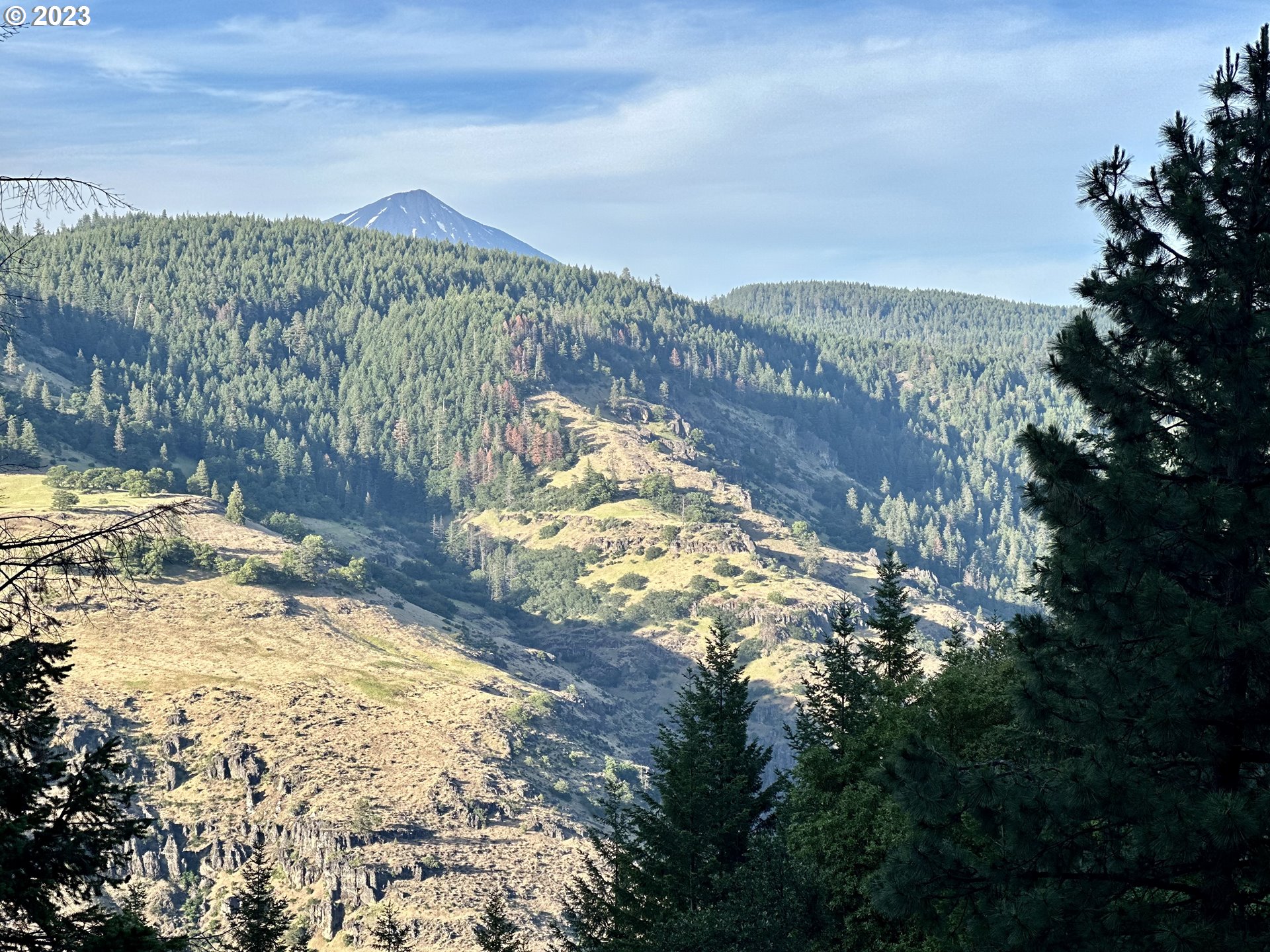0 South F Little Butte Creek Road Eagle Point, OR 97524 - Photo 2 of 5 a view of a yard with mountains in the background