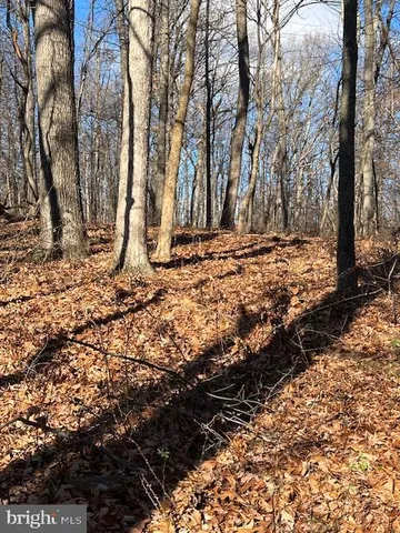 a view of a backyard of the house