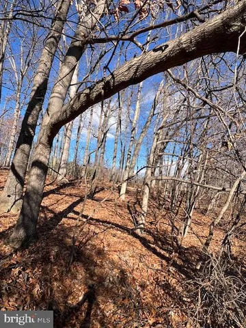 a view of mountain view with trees in the background
