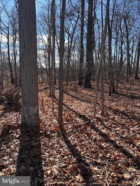 0 5 Forks Road New Freedom, PA 17349 - Photo 2 of 12 a view of a forest filled with trees