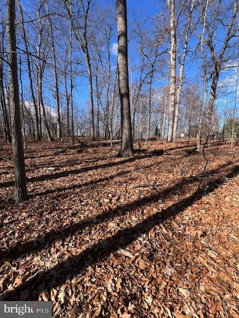 0 5 Forks Road New Freedom, PA 17349 - Photo 3 of 12 a view of a yard with lots of green space