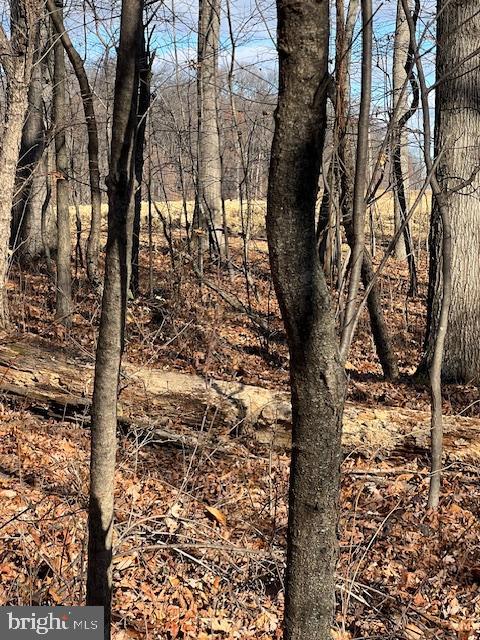 0 5 Forks Road New Freedom, PA 17349 - Photo 4 of 12 a view of a yard