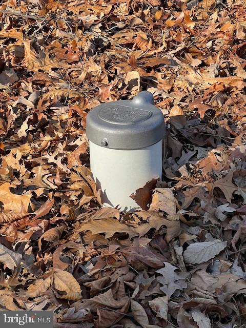 0 5 Forks Road New Freedom, PA 17349 - Photo 5 of 12 a vase of flowers sitting on a table