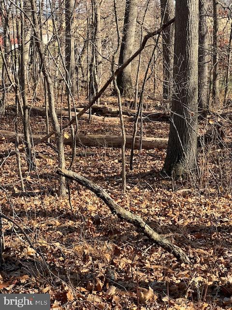 0 5 Forks Road New Freedom, PA 17349 - Photo 6 of 12 a backyard of a house with lots of green space