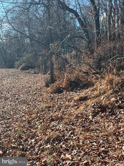 0 5 Forks Road New Freedom, PA 17349 - Photo 7 of 12 a view of a dry yard