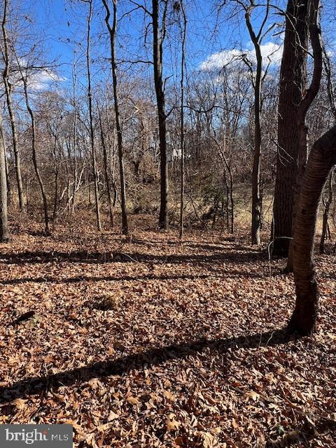 0 5 Forks Road New Freedom, PA 17349 - Photo 8 of 12 a view of a yard with large trees