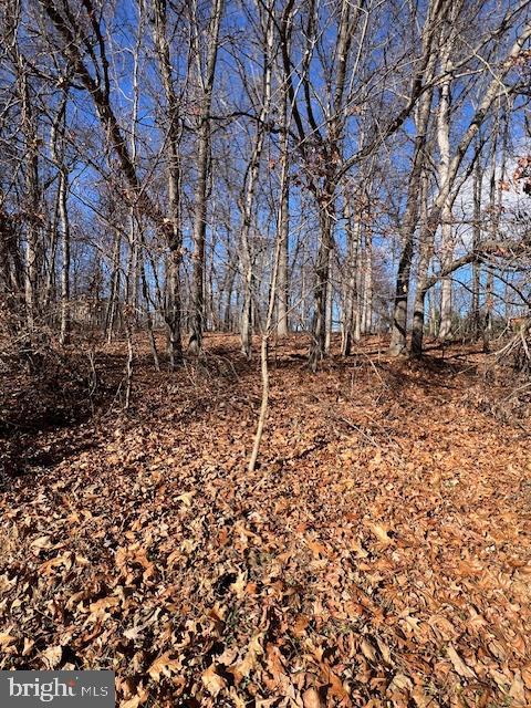 0 5 Forks Road New Freedom, PA 17349 - Photo 10 of 12 a backyard of a house with lots of green space