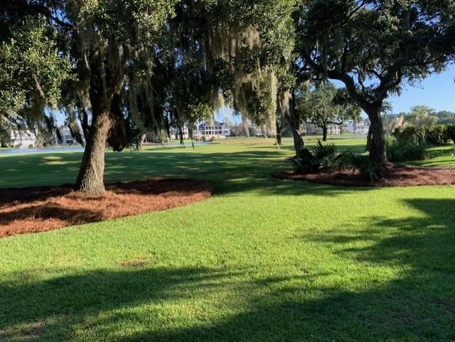 110 Swan Point Road Georgetown, SC 29440 - Photo 11 of 51