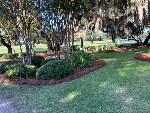 110 Swan Point Road Georgetown, SC 29440 - Photo 4 of 51