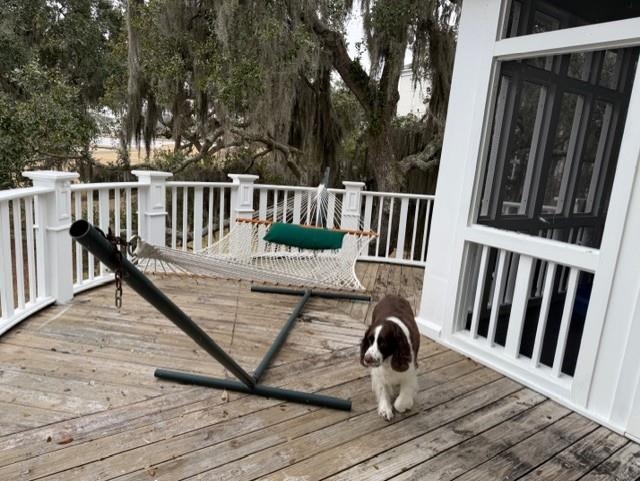 110 Swan Point Road Georgetown, SC 29440 - Photo 49 of 51