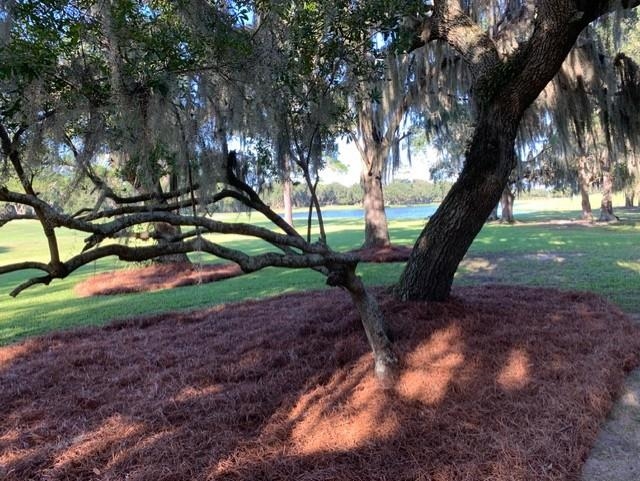 110 Swan Point Road Georgetown, SC 29440 - Photo 5 of 51
