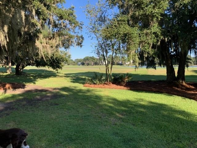 110 Swan Point Road Georgetown, SC 29440 - Photo 6 of 51