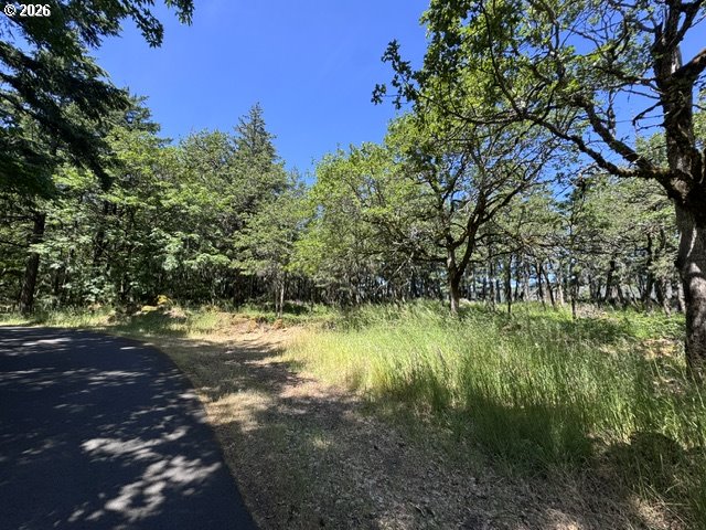 4390 West Ridge Drive Hood River, OR 97031 - Photo 5 of 11