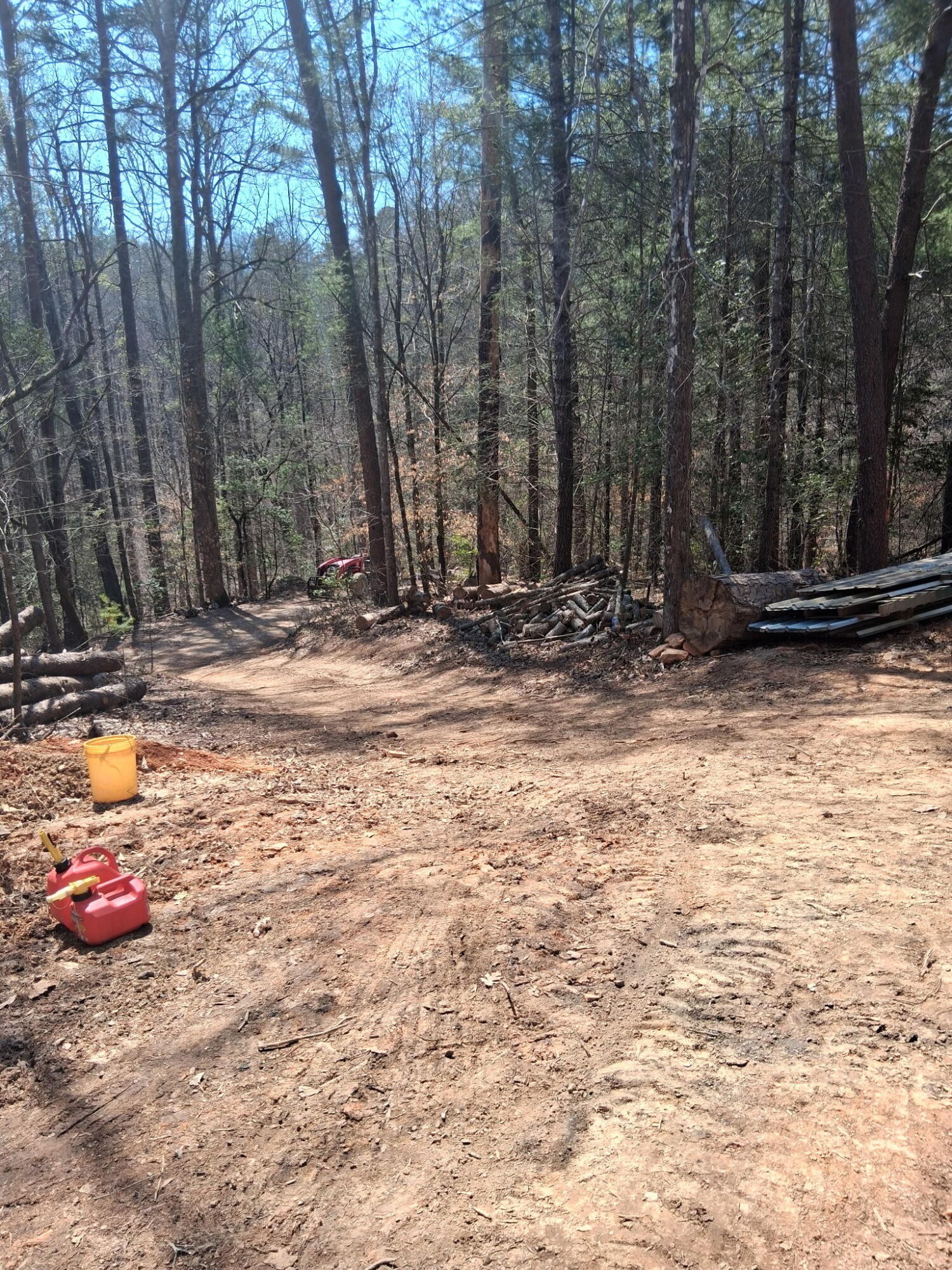 0 Tinker Branch Road Reliance, TN 37369 - Photo 3 of 17