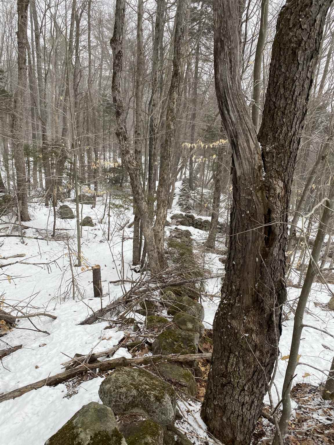 1087 Valley Road Washington, NH 03280 - Photo 5 of 14