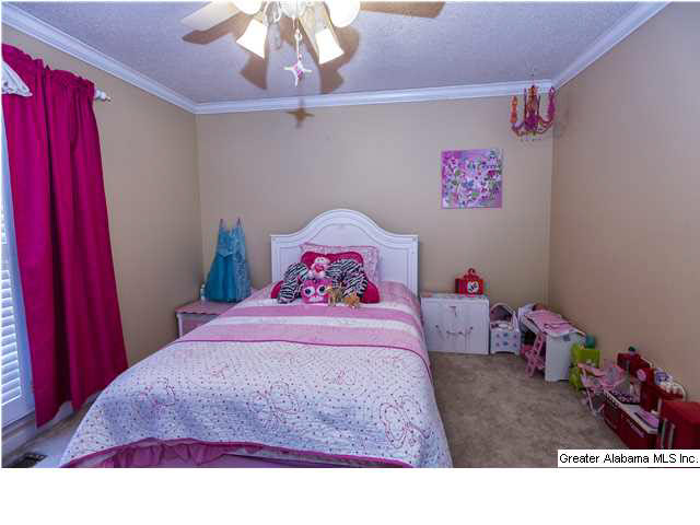 6516 Eagle Ridge Lane Pinson, AL 35126 - Photo 23 of 28